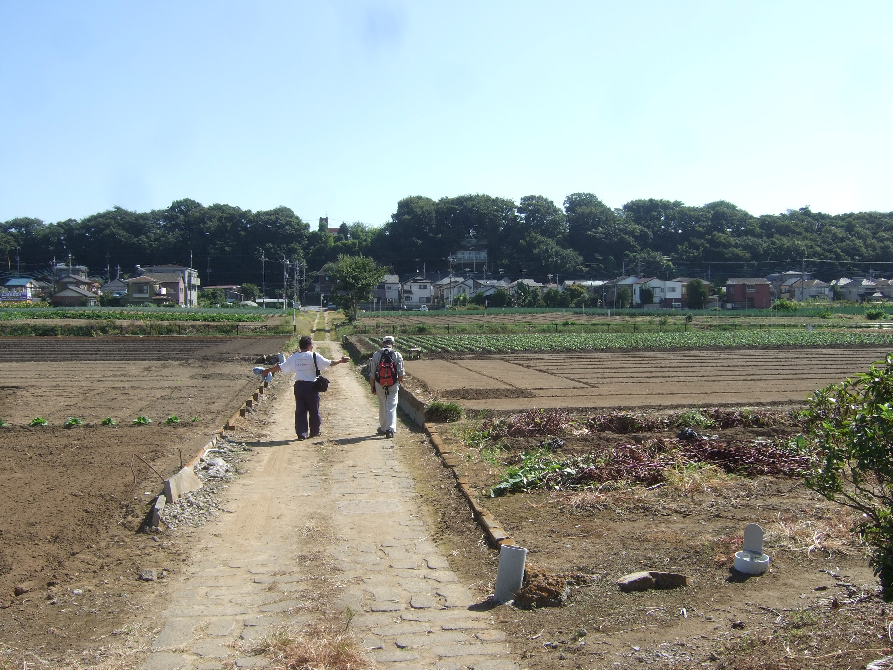 ��؂̓c�����i�C���[�W